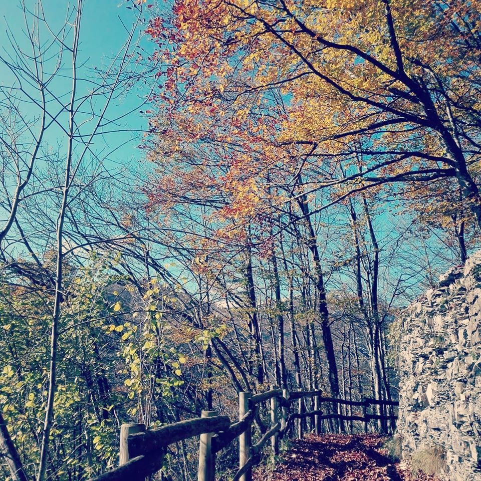 76638496 2823161127910525 6596562986284875776 o